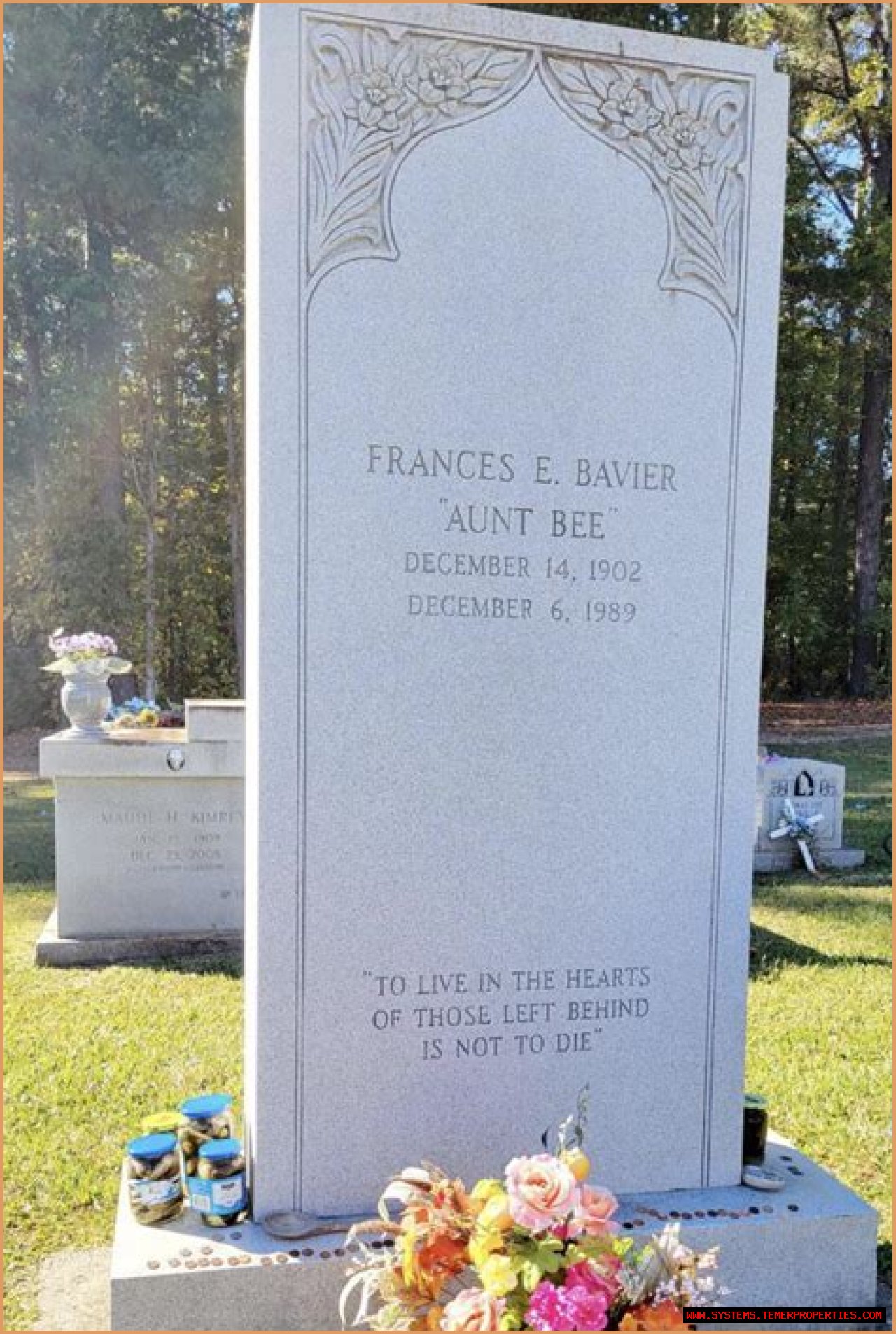 Frances Bavier: The Beloved Aunt Bee Of Mayberry