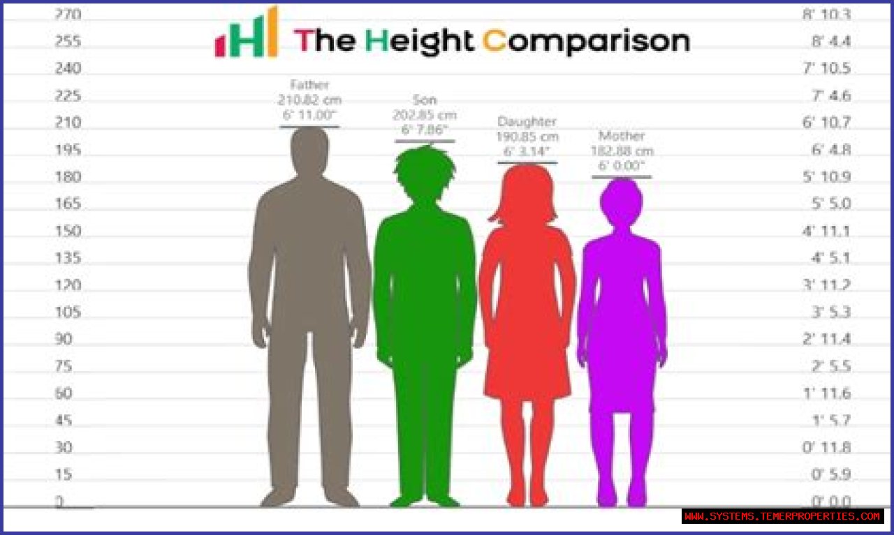 Steiny Height: Understanding The Significance Of Height In The Gaming World