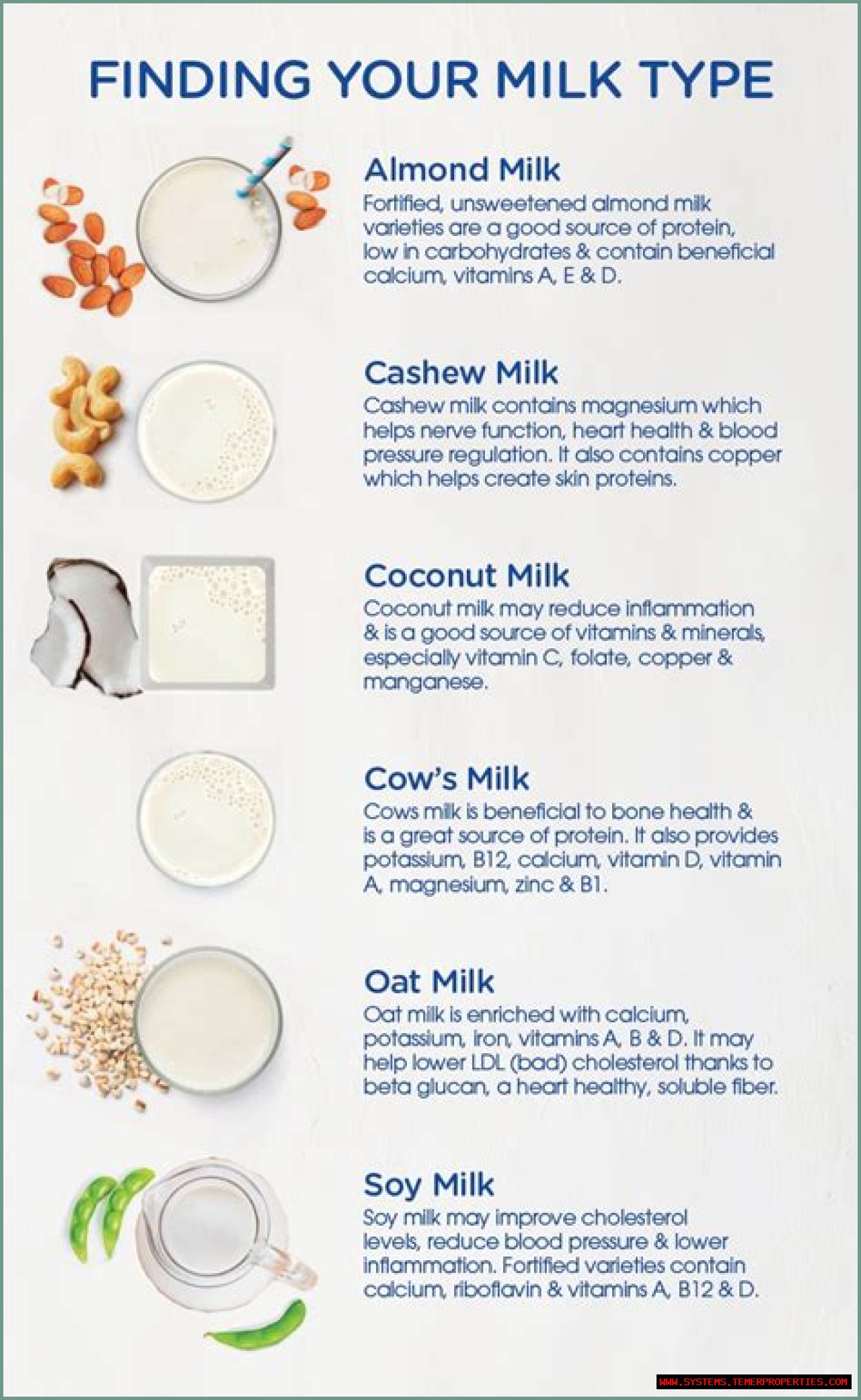 The Comprehensive Guide To Milk: Health Benefits, Types, And Nutritional Value